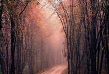 问鼎国际官网:联合杯迎来首个比赛日 张帅/张之臻出战混双央视体育.