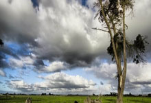 问鼎国际官网:罗马诺:欧联杯对澳波的执教至关重要 若换帅热刺最青睐伊劳拉.