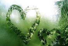 [网球]郑钦文直落两盘晋级女单八强.