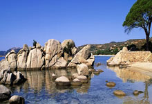 问鼎国际官网：赣江观澜：做足“冰雪+”文章 赣鄱大地迎来“冰雪热”2025-01-28.